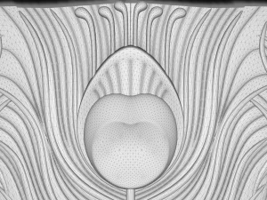 peafowl bas relief for cnc 3D Model