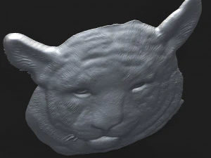 siberian tiger head relief 3D Print Model