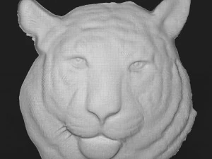 siberian tiger head relief 3D Print Model