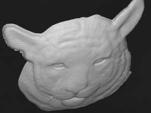 siberian tiger head relief 3D-printmodel