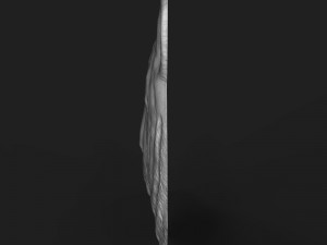 siberian tiger head relief 3D-printmodel