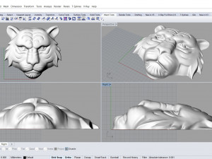 tiger face bas relief 3D-printmodel