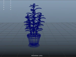 plant rubber tree 3D Model