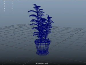 plant rubber tree 3D Model