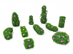 bushesflowers Modèle 3D