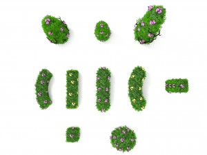 bushesflowers Modèle 3D