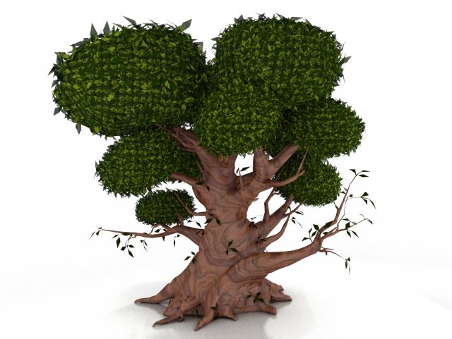 oak 3D Model .c4d .max .obj .3ds .fbx .stl .blend 