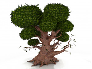 oak 3D 모델