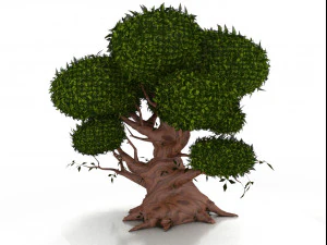 oak 3D Model