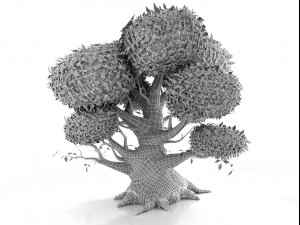 oak 3D Model