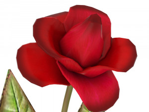 low poly rose 3D Модель