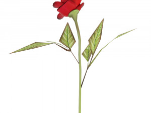 low poly rose 3D Модель