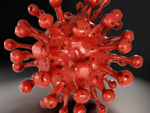 coronavirus covid-19 3D Model