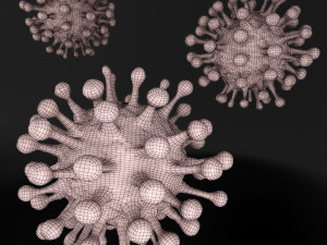 coronavirus covid-19 Model 3D