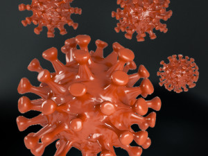 coronavirus covid 19 3D 모델