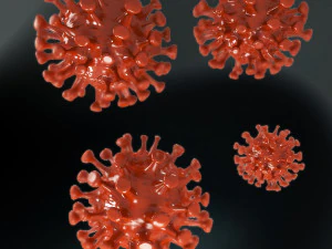 coronavirus covid 19 3D Model