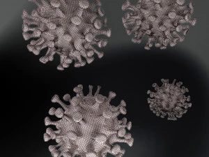 coronavirus covid 19 3D Model