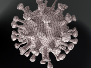 coronavirus covid 19 Model 3D