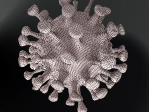 coronavirus covid 19 3D Model