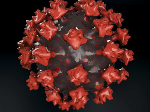 coronavirus (COVID-19 Modello 3D