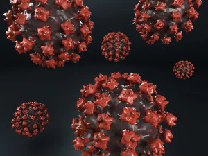 coronavirus covid-19 3D Model