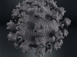coronavirus covid-19 Modelo 3D
