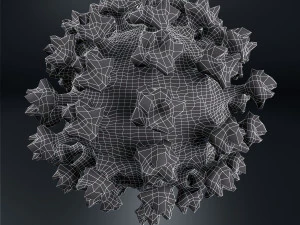 coronavirus covid-19 3D Model