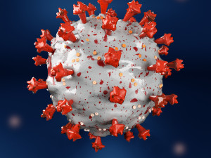 coronavirus covid 19 3D Model