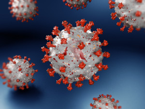 coronavirus covid 19 Model 3D