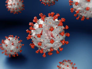 coronavirus covid 19 3D Model