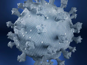 coronavirus covid 19 3D Model