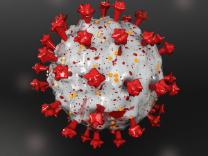 coronavirus sars-cov-2 3D 모델