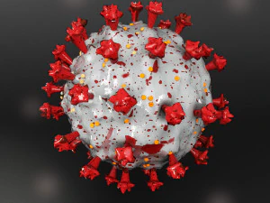 coronav&iacute;rus sars-cov-2 Modelo 3D