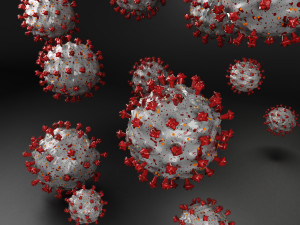 coronavirus sars-cov-2 3Dモデル