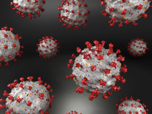 coronavirus sars-cov-2 3Dモデル
