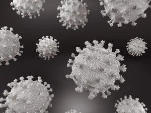 coronavirus sars-cov-2 3D Model