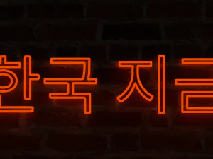 neon signs p1 - 14 assets - game ready 3D Model