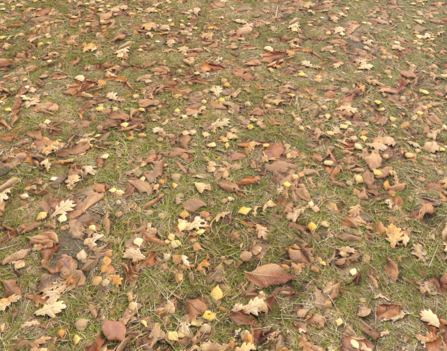 ground terrain grass pbr pack 4 CG Tekstury .c4d .max .obj .3ds .fbx .stl .blend 