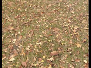 ground terrain grass pbr pack 4 CG Textures