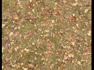 ground terrain grass pbr pack 4 CG Tekstury