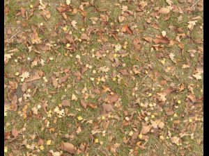 ground terrain grass pbr pack 4 CG Textures