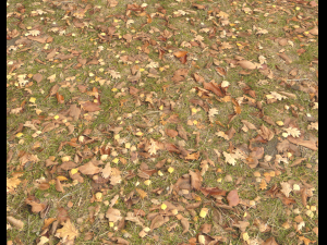 ground terrain grass pbr pack 4 CG Tekstury