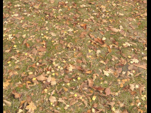 ground terrain grass pbr pack 4 CG Textures