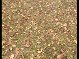 ground terrain grass pbr pack 4 CG Tekstury
