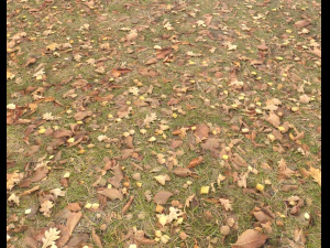 ground terrain grass pbr pack 4 CG Textures