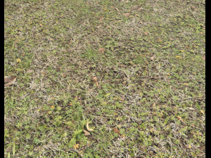 ground terrain grass pbr pack 4 CG Tekstury