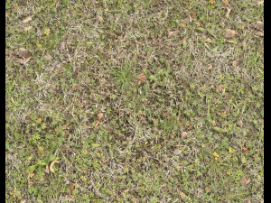 ground terrain grass pbr pack 4 CG Textures