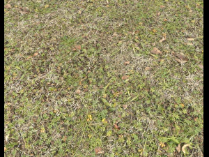 ground terrain grass pbr pack 4 CG Textures