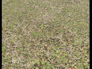 ground terrain grass pbr pack 4 CG Textures