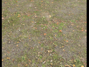 ground terrain grass pbr pack 4 CG Tekstury